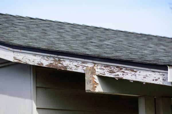Knoxville Wood Rot Repair