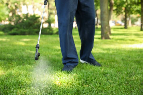 Knoxville Lawn Treatment